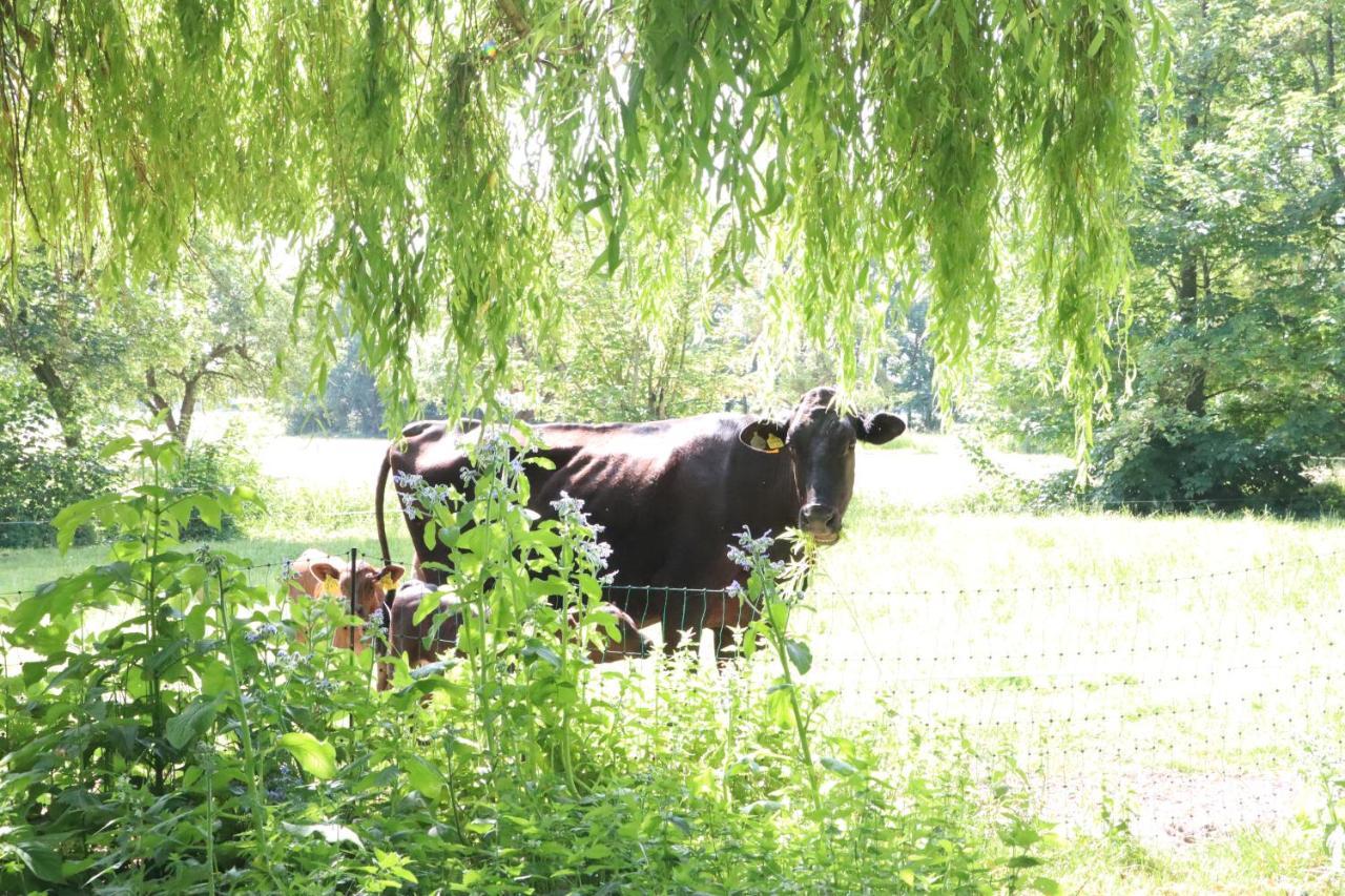 Ferienhaus Heinrichs Cappeler Niederstrich Esterno foto